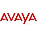 Avaya GmbH & Co.KG